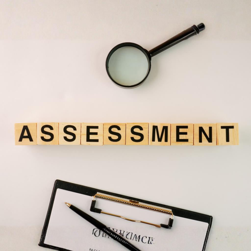 Assessment DISC - Mapeamento comportamental para líderes
